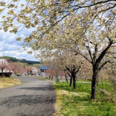 施設用度係です