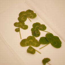 デイケアブログ162回目٩( ‘ω’ )و