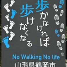 つるおかスリーデーウォーク