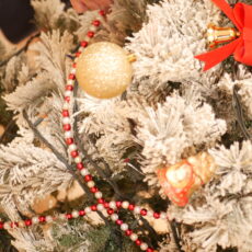 デイケアブログ168回目٩( ‘ω’ )و