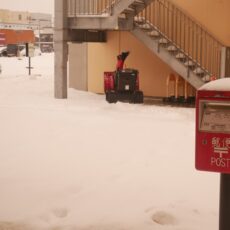 大雪の影響！？