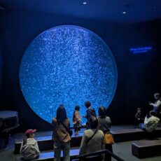 かもすい　もうすぐリニューアルオープン🐟