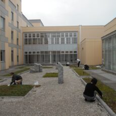 中庭の環境整備を始めます