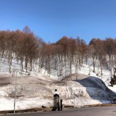 え、これから冬本番？！